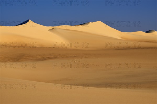 Golden sand dunes under a clear blue sky radiate peace and sun in an arid desert landscape, Matruh,