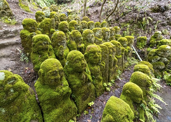 Moss-covered stone statues of rakans, the disciples of Buddha, Otagi Nenbutsu-ji temple, Kyoto,