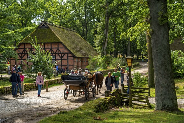 The village of Wilseder, old farms, in the Lüneburg Heath nature reserve, Lower Saxony, Germany,