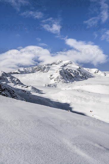 Snow-covered mountain landscape, mountain peak Monte Cevedale and glacier Zufallferner, Ortler