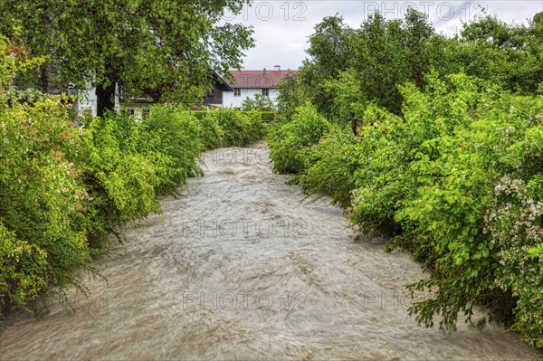 A heavily flooded river carves its way through a densely overgrown green landscape with houses,