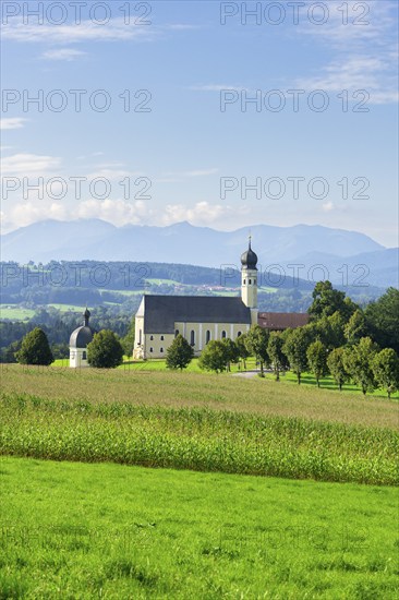 Pilgrimage church of St Marinus and Anian in Wilparting, cornfield, avenue, meadow, municipality of