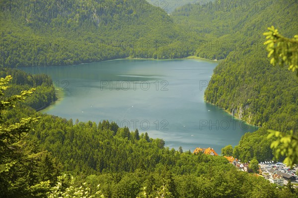 Alpsee, Schwangau, Ostallgaeu, Allgaeu, Swabia, Bavaria, Germany, Europe