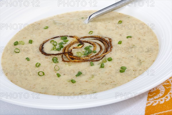 Swabian cuisine, green spelt soup, healthy, vegetarian, regional, soup served in soup plates,
