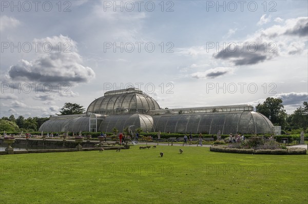 Palm House, the oldest Victorian greenhouse in the world, Royal Botanic Gardens, Kew, London,