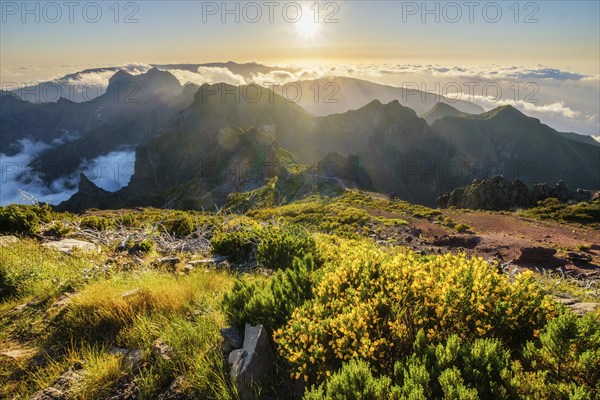 View of mountains over clouds from Pico Ruivo on sunset. Madeira island, Portugal, Europe