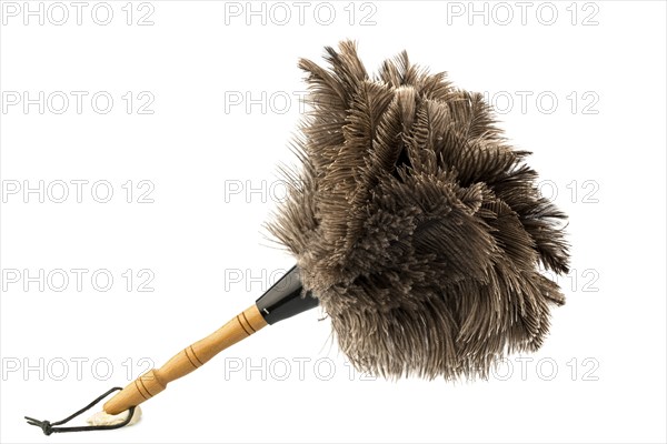 A feather duster in front of a white background, studio