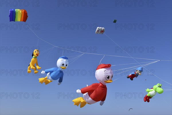 Kite festival, flying kites on Schönberg beach, Schleswig-Holstein, Germany, Europe