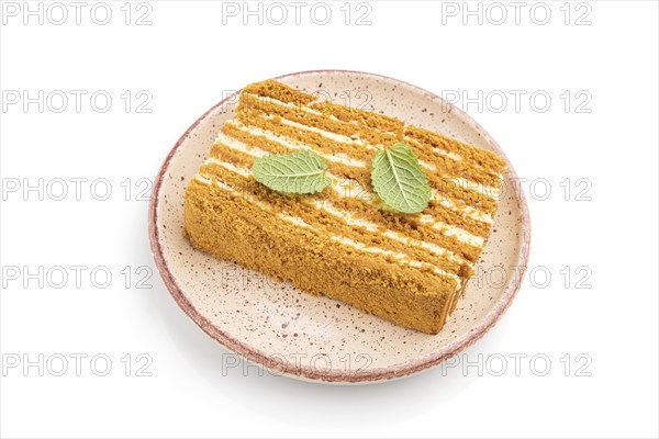 Homemade honey cake with milk cream and mint isolated on white background. Side view, close up