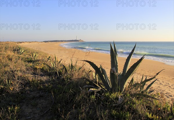 Sandy beach and lighthouse at Cabo de Trafalgar, Cadiz Province, Spain, Europe