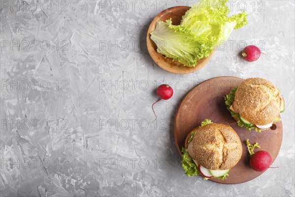 Sandwiches with cheese, radish, lettuce and cucumber on wooden board on a gray concrete background.