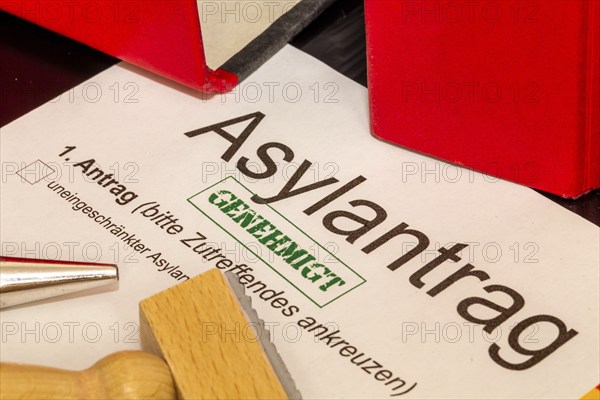 Symbolic image: Asylum application form in Germany