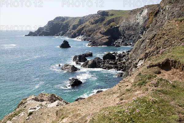 Coastal scenery, Kynance Cliff and Nantivet Rock stack, Lizard peninsula, Cornwall, England, UK