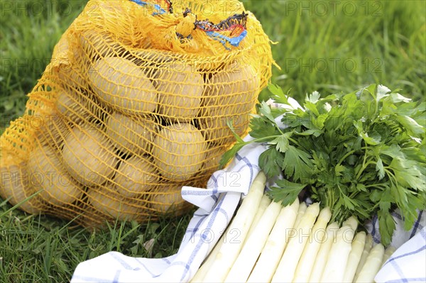 Asparagus and potatoes decorated in grass