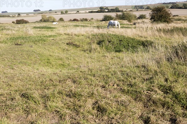 Richardson deserted medieval village, Berwick Bassett, Wiltshire, England, UK