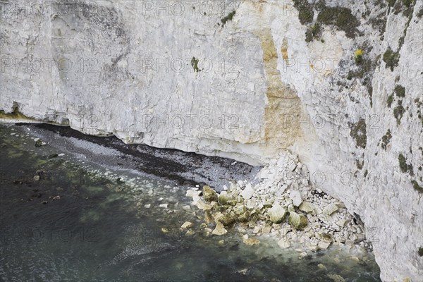 Old Harry chalk cliffs and stacks, Dorset, England, United Kingdom, Europe