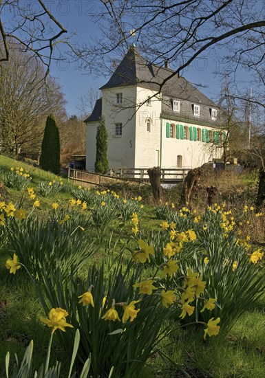 Goldberg Mill in spring, historical sight, Mettmann, Bergisches Land, North Rhine-Westphalia,