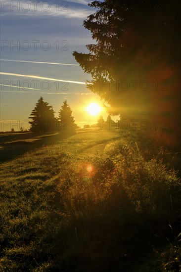 Am Heidelstein, Schwabenhimmel, UNESCO Biosphere Reserve, near Hausen, Rhön, Bavarian Rhön, Rhön,