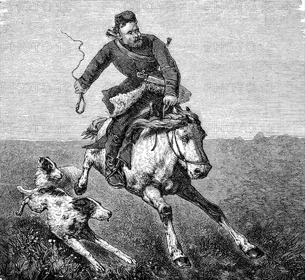 A Don Cossack, former defence farmer, on horseback with hunting dogs, 1860, Historical, digital