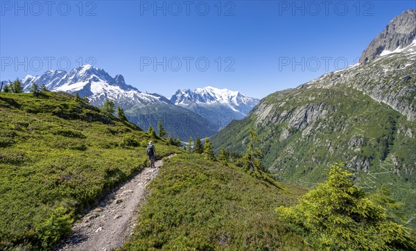 Mountaineer on hiking trail, mountain panorama with glaciated mountain peaks, Aiguille Verte with