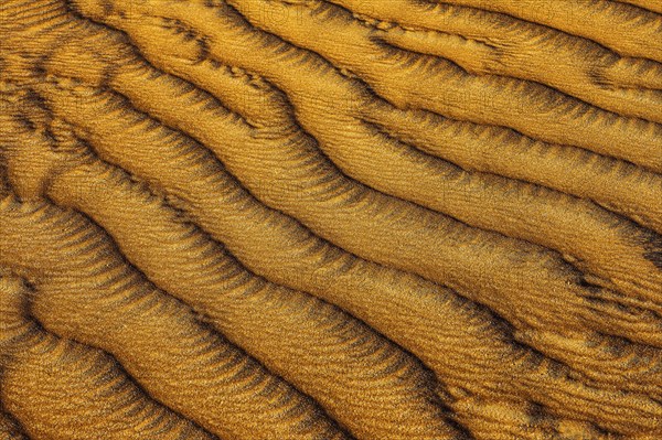 Wind-sculpted sand structure in the Rub al Khali desert, Dhofar province, Arabian Peninsula,