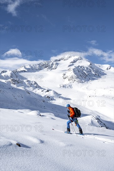 Ski tourers in a snow-covered mountain landscape, mountain peak Monte Cevedale and glacier