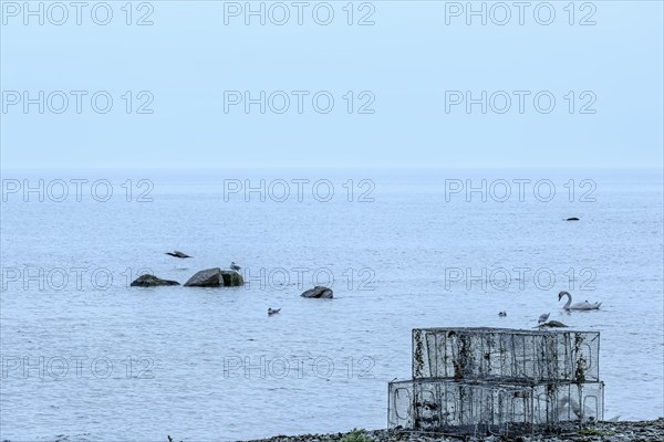 Stacks of wire baskets on the beach at Södra Udde, the southern tip of the island of Öland, Kalmar