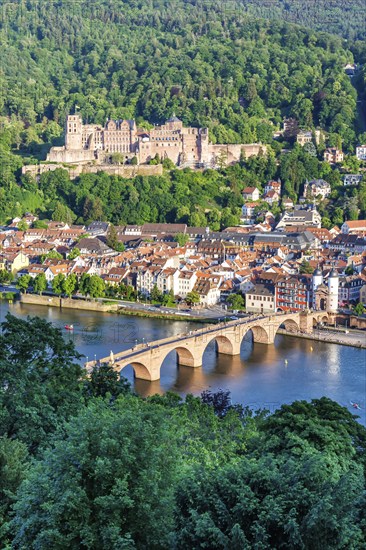 View of the Neckar River Castle and Old Bridge in Heidelberg, Germany, Europe