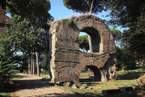 Ruins on Monte Palation, Palatine Hill, Rome, Italy, Europe