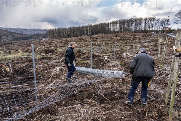 Construction of a game fence around a 5-hectare area in the Arnsberg Forest near