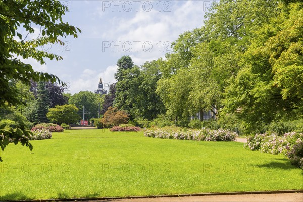 The rose garden is a landscaped garden on the banks of the Neustadt Elbe in Dresden. The rose