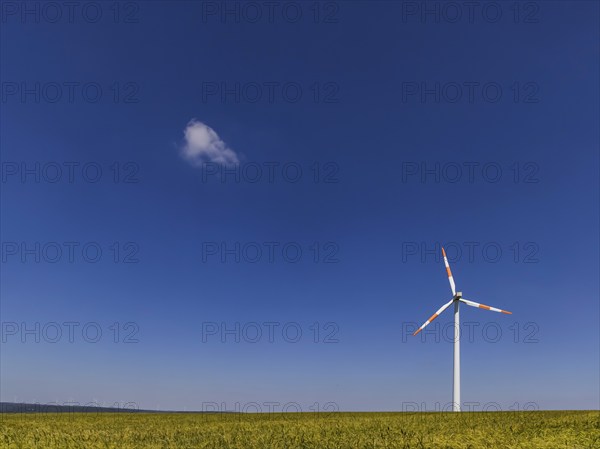 Wind turbine in an open field, a small cloud clouds the blue sky. Swabian Alb, Geislingen an der