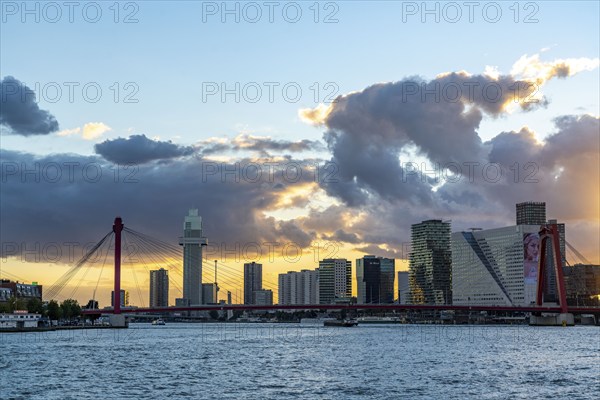 The skyline of Rotterdam, with the Erasmus Bridge over the Nieuwe Maas, district, Netherlands