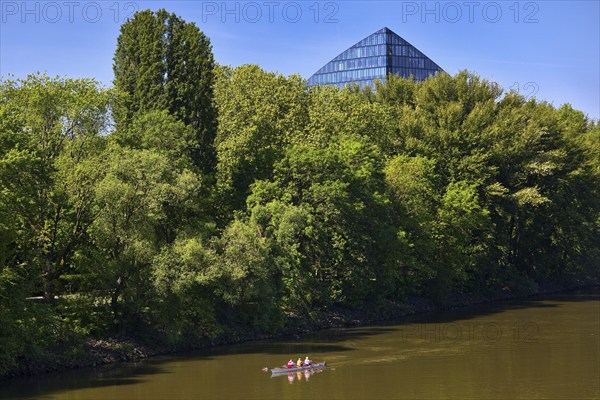 The river Main with a sports boat and the tip of the Main Triangle in Frankfurt-Sachsenhausen,