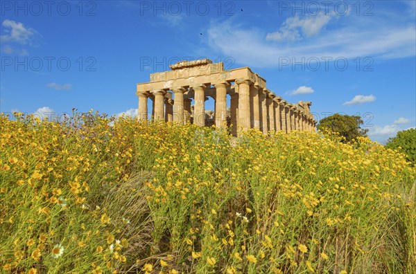 Temple of Hera or Temple E, Selinunte Archaeological Park, Selinunte, Trapani district, Sicily,