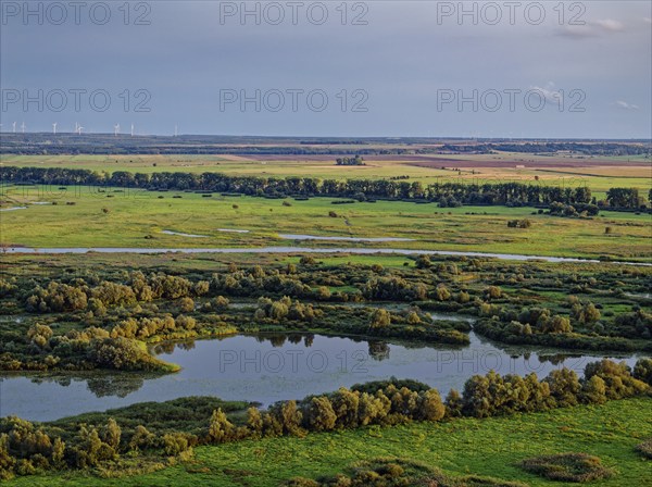 The Warta Estuary National Park, Park Narodowy Ujscie Warty, where the Warta flows into the Oder.