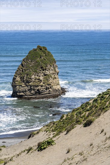 Tepuhueico Zona Costa Park, Parque Tepuhueico, Chiloe, Chile, South America