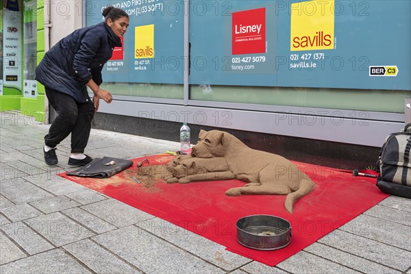 Street artist creates sand sculptures of dogs on a pavement, Cork