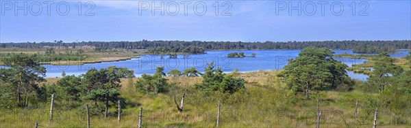 View from lookout tower De Stapper over Stappersven, fen in Grenspark Kalmthoutse Heide, Kalmthout