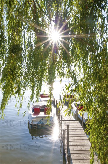 Jetty in Herrsching am Lake Ammer backlit, Bavaria, Germany, Europe