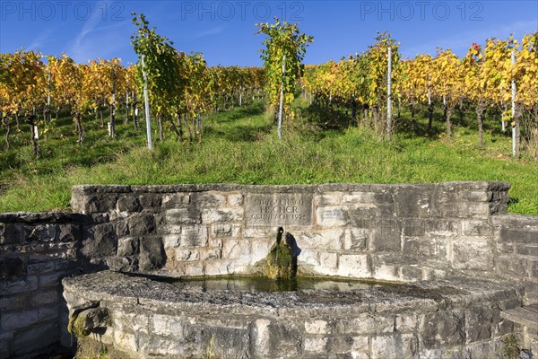 A stone fountain in front of an autumnal vineyard with yellow leaves under a clear blue sky,