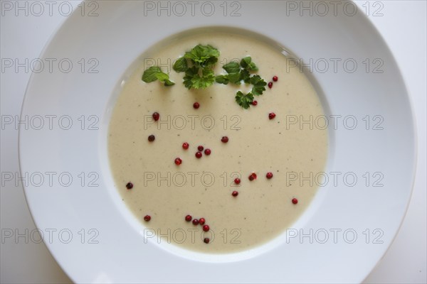 Swabian cuisine, green spelt soup, healthy, vegetarian, regional, soup served in a soup plate, red