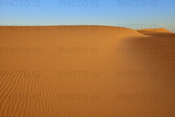 Endless sand dunes under a cloudless blue sky, the undulating patterns in the sand create a calm