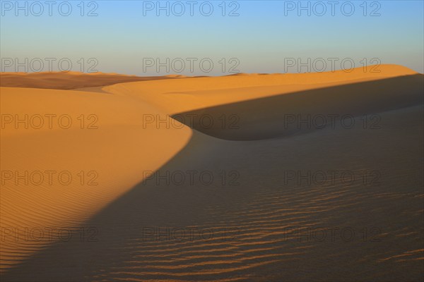 Sand dunes with long shadows in a desert landscape under a blue sky, Matruh, Great Sand Sea, Libyan