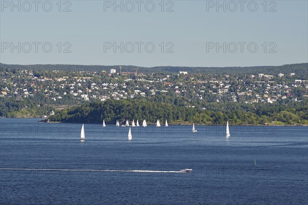 Several sailboats sailing in calm waters, accompanied by a vast hilly landscape in the background,