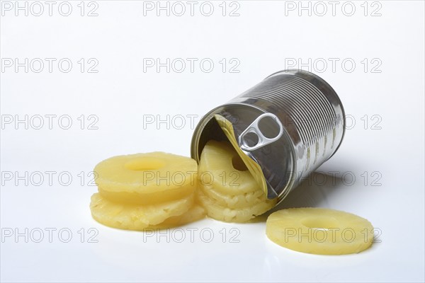 Pineapple rings in tins, Ananas sativus