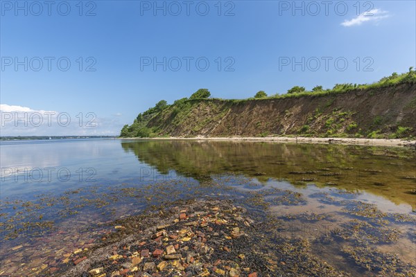 Nature reserve Holnis peninsula on the Flensburg Fjord, nature reserve, water reflection, blue sky,