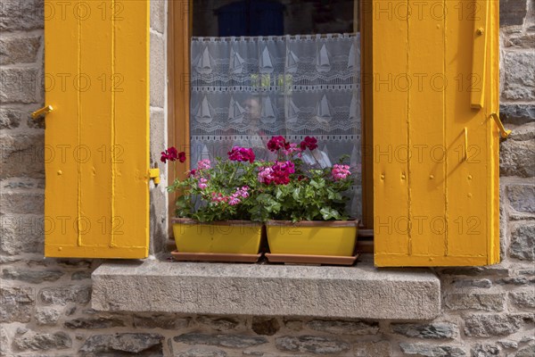 Window with yellow shutters and yellow flower pots, Treguier, Département Côtes-d'Armor, Brittany,