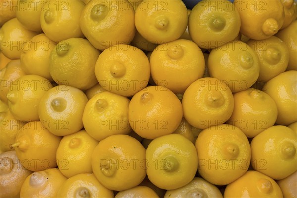 Moroccan-style pickled lemons, salted lemons, Medina Essaouira, Morocco, Africa