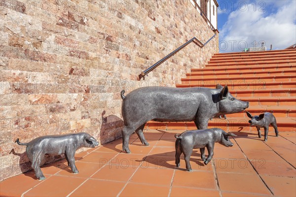 Group of piglets at Plaza Candelaria, Ingenio, Gran Canaria, Canary Islands, Spain, Ingenio, Gran